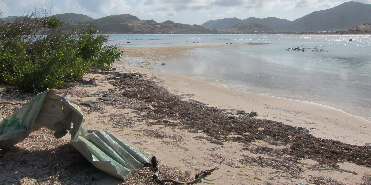 A Caribbean beach after a hurricane. Seagrass is a great natural protector of beaches against storms and reduces the need for human intervention. Photo: Rebecca James
