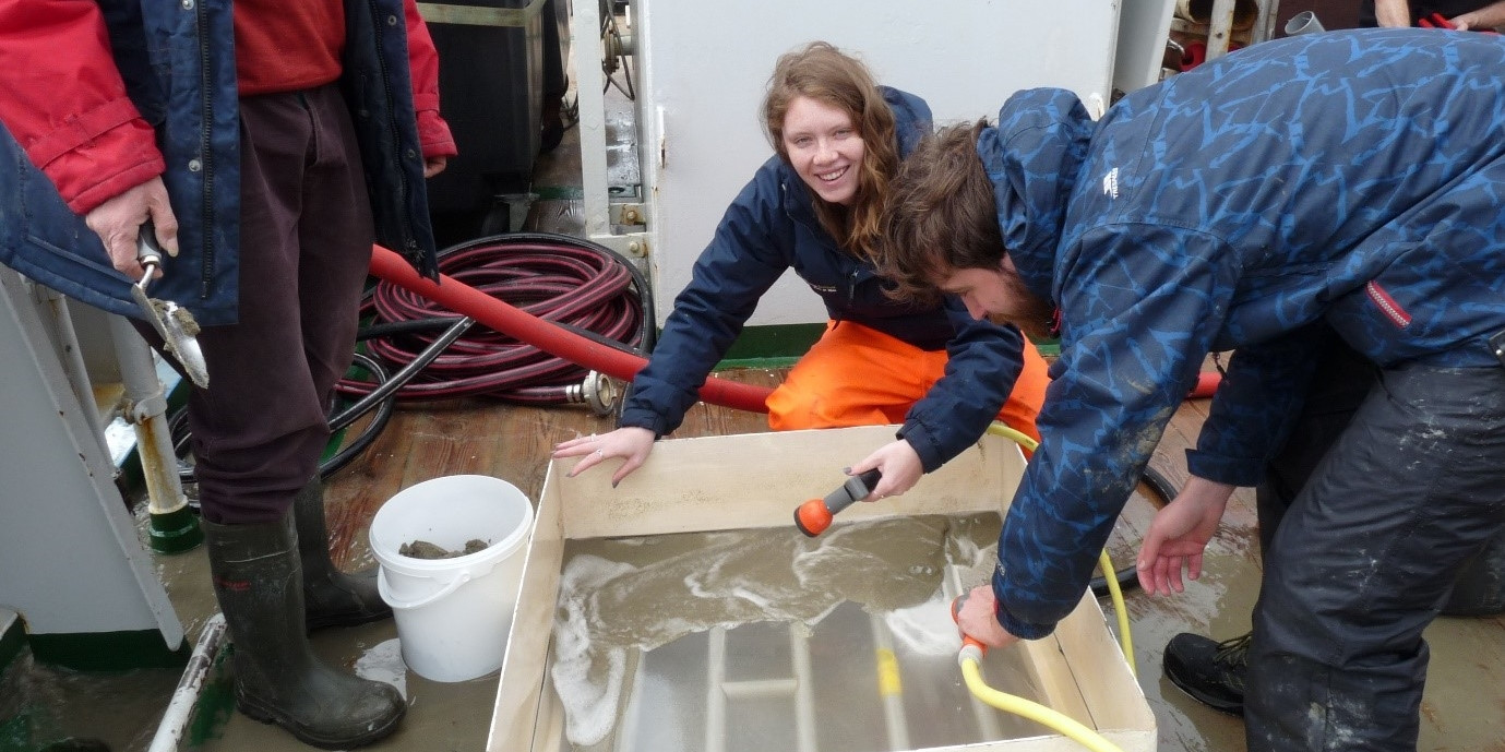 Sieving the sediment from a box corer