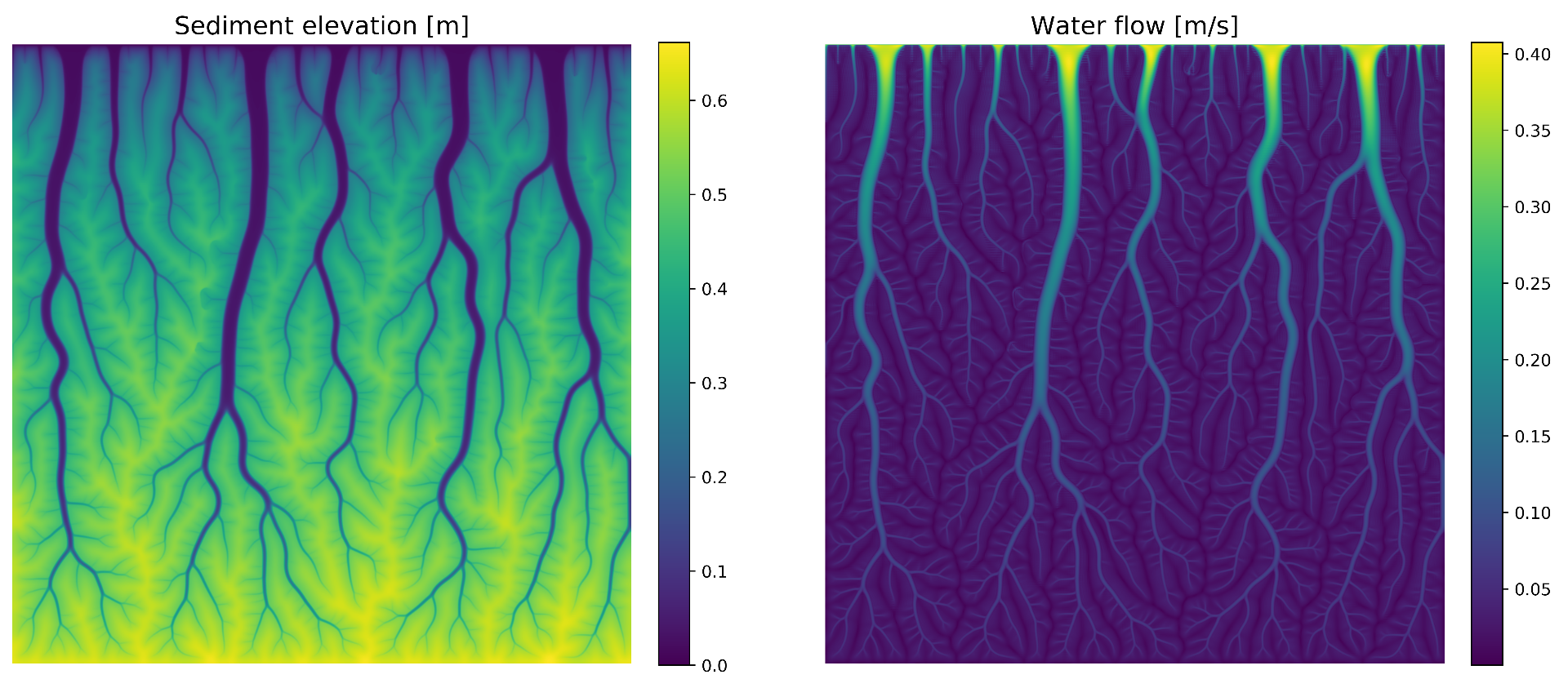 Numerically simulated tidal marsh (200m x 200m).