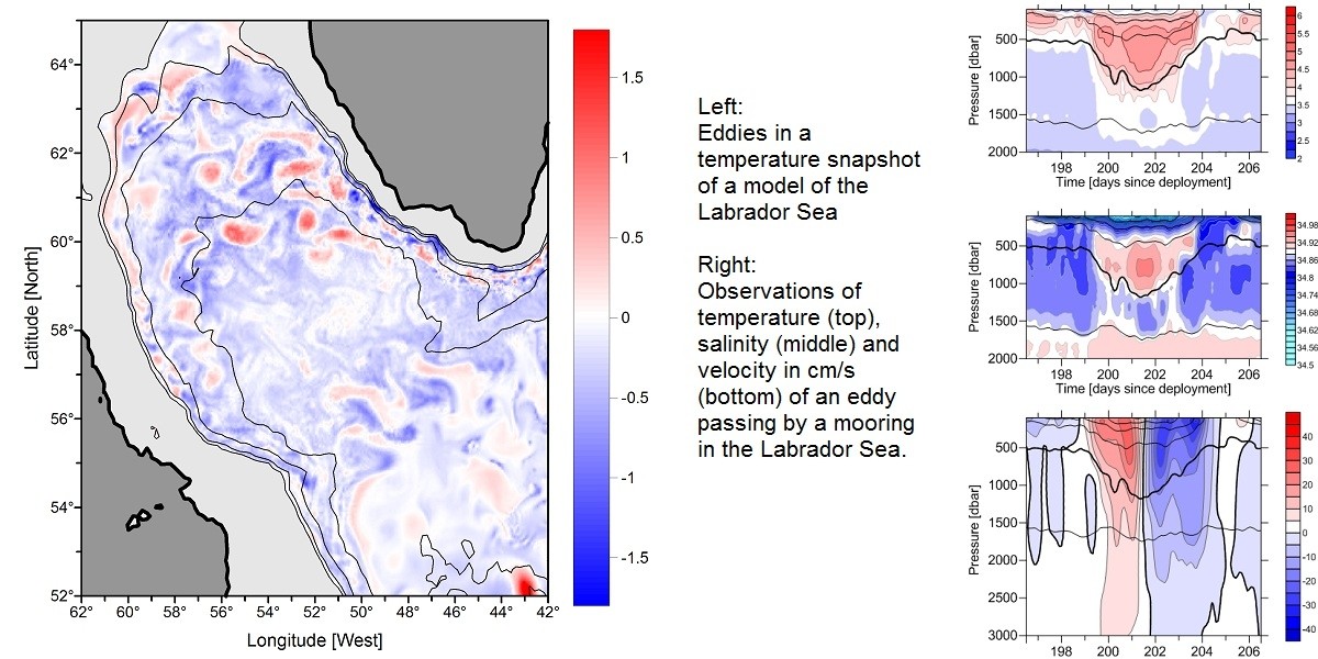 Example of modelled and observed eddies in the Labrador Sea.