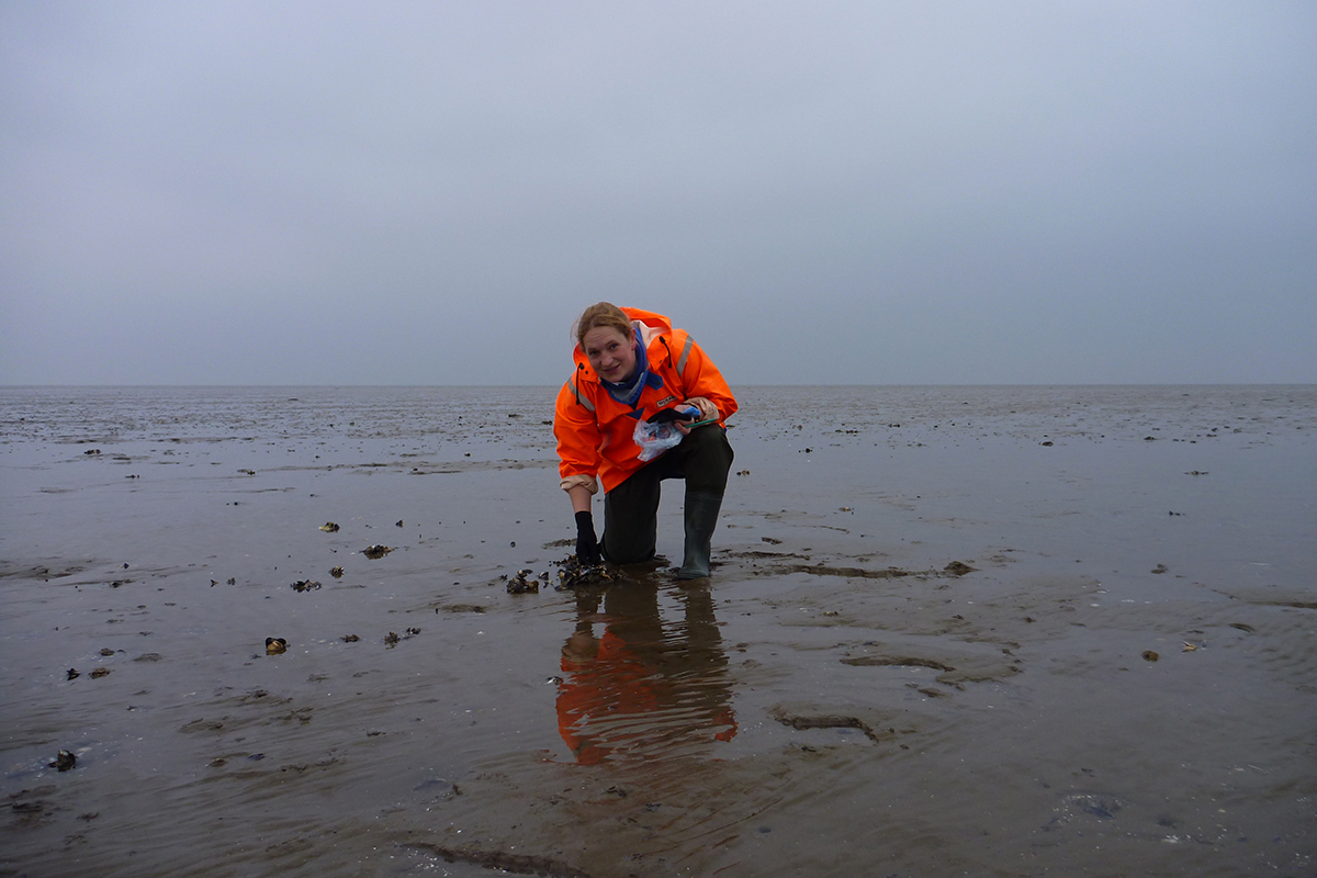 Jennifer Welsh during fieldwork in the Wadden Sea