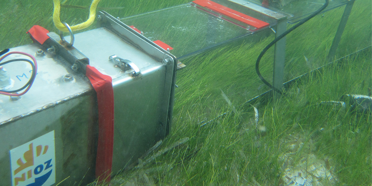 A portable water flume measured the ability of seagrass to keep sand in place and prevent erosion. Photo: Rebecca James