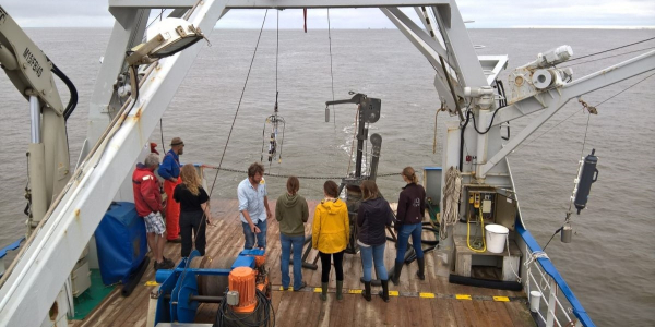Working on deck of the research vessel (© Dörte Poszig).