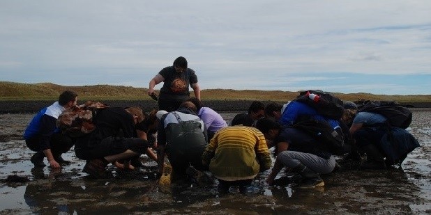 All hands in the mud!