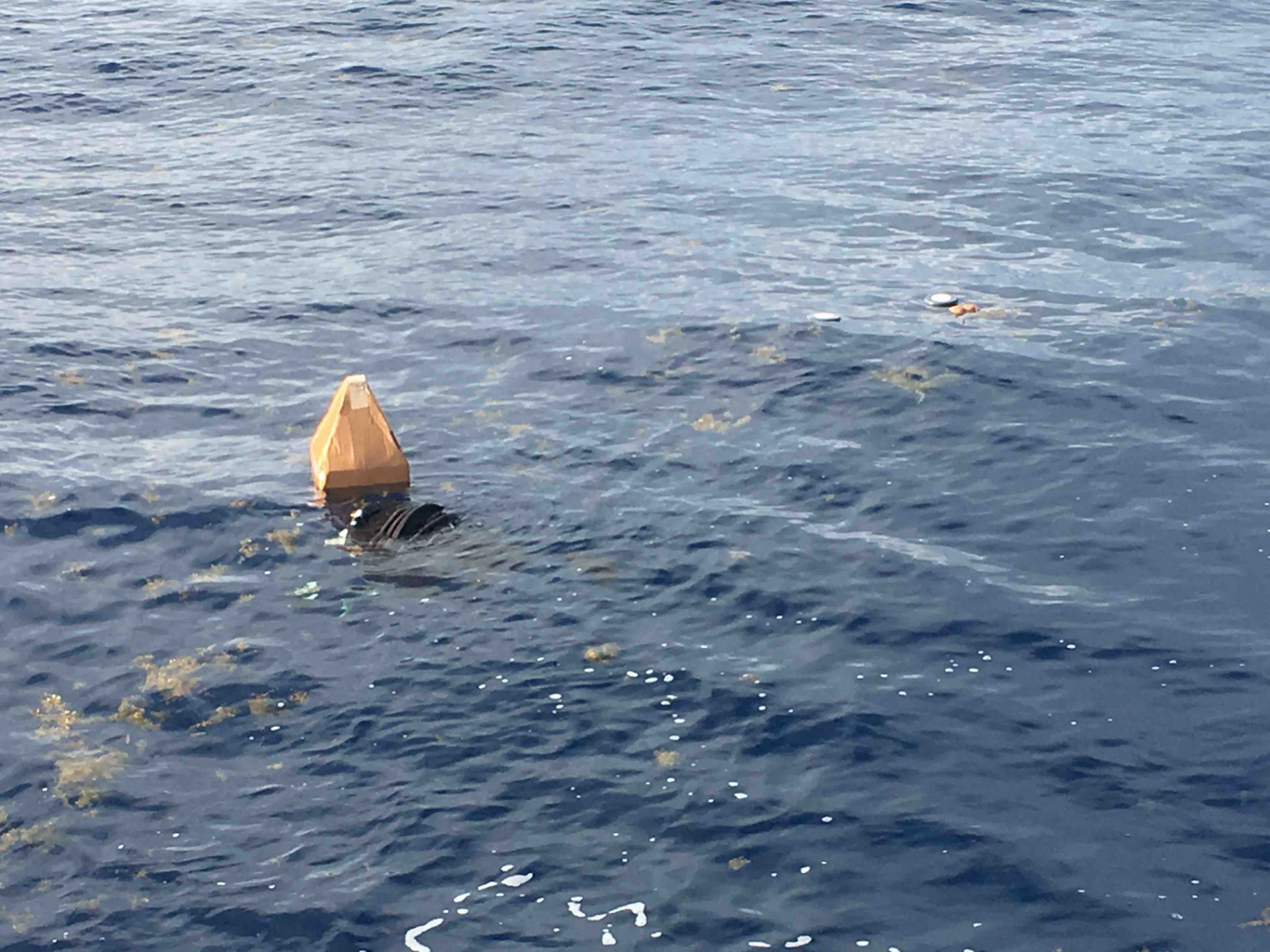 The two different kinds of drifters we are deploying along our cruise. The larger ones are from NOAA and the smaller ones are home-made (Stokes drifters). Photo: Erik Zettler