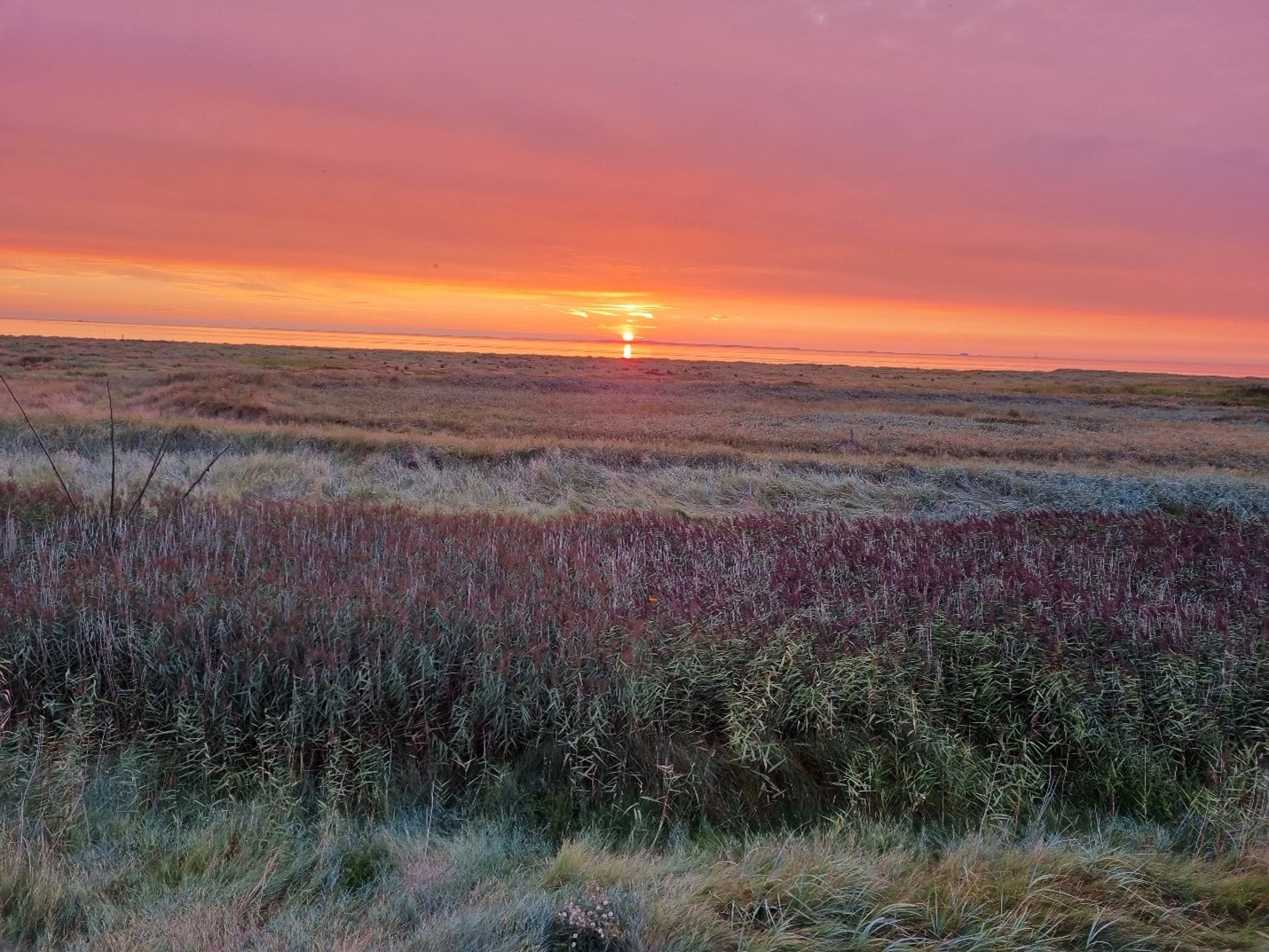 Zonsondergang op Griend. Foto: Evy Gobbens 