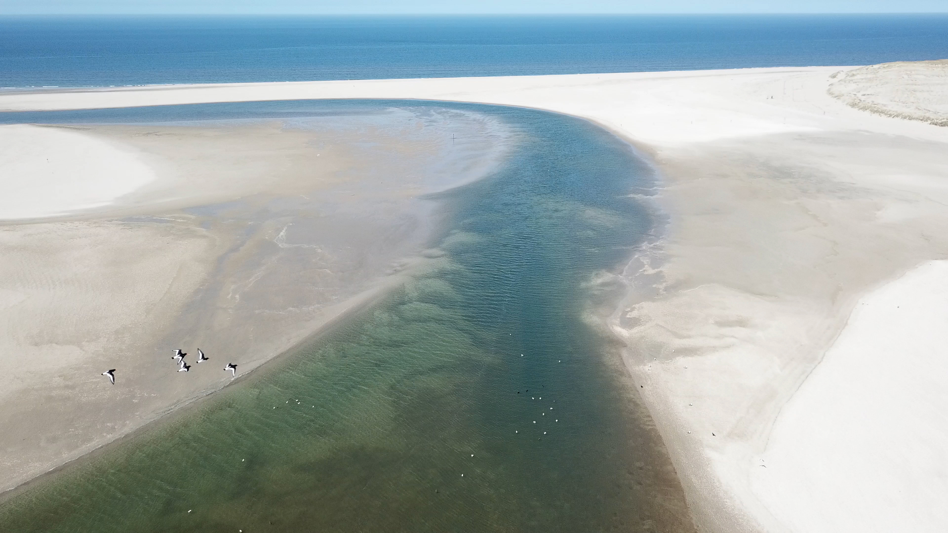 Bekijk de korte film: ‘Over zeespiegelstijging, bodemdaling en sedimentatie in de Nederlandse Waddenzee’. Foto: Science Media.