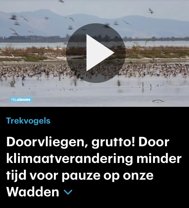 RTL nieuws: minder pauze in Waddenzee door klimaatverandering.