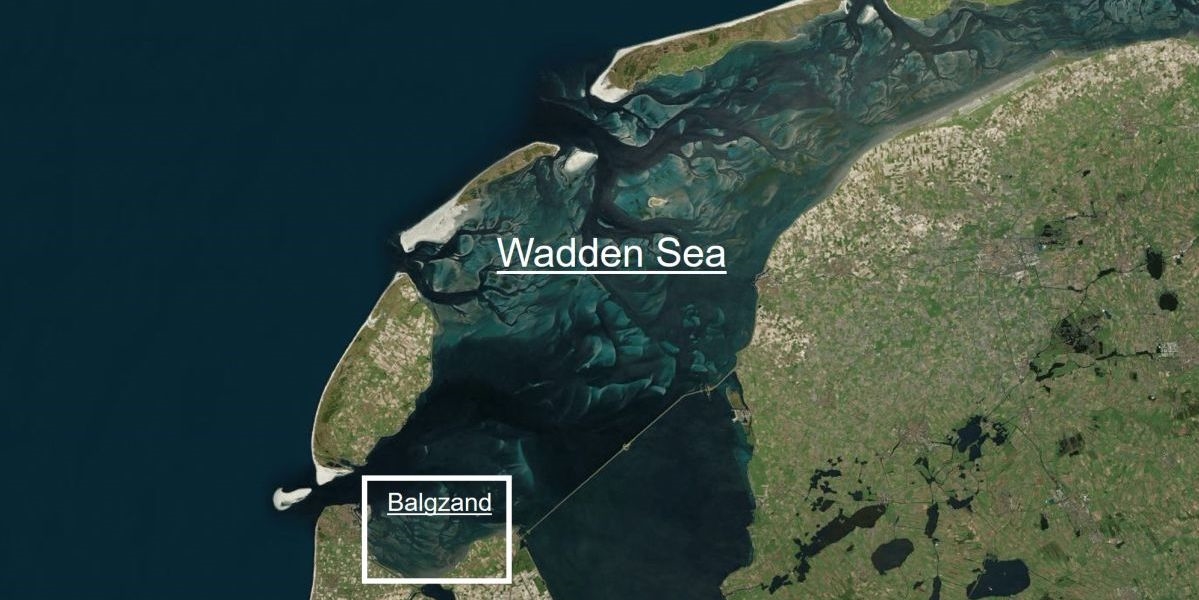 Balgzand in the western Wadden Sea (© NIOZ).