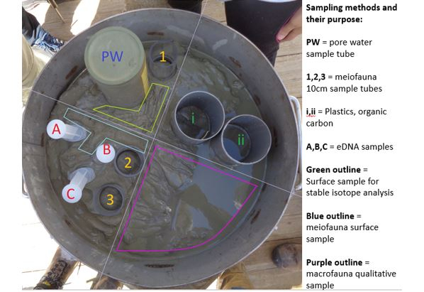 Box core with samples. Photo NIOZ