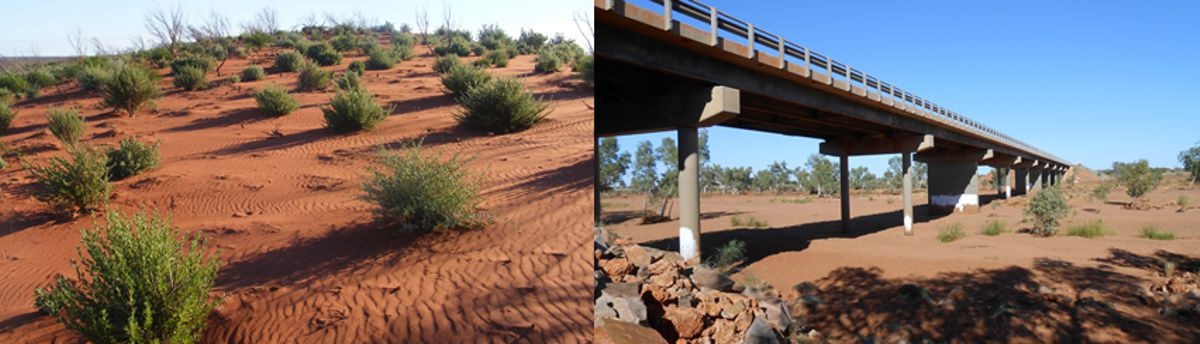 An Australian (fossil and overgrown) dune and a river bed
