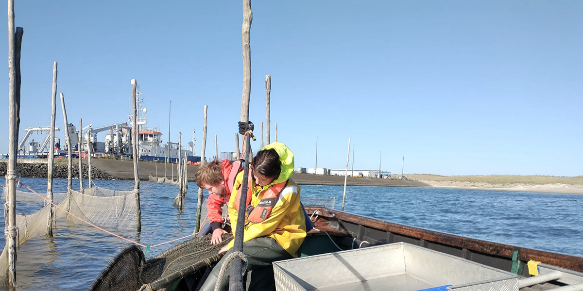 Dennis Mosk and Maureen Sikkema emptying the nets.