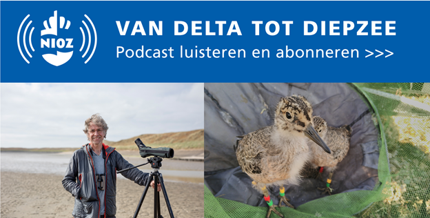 Podcast episode 15 | Pinokkio-snavel als aanpassing aan klimaatverandering met Jan van Gils