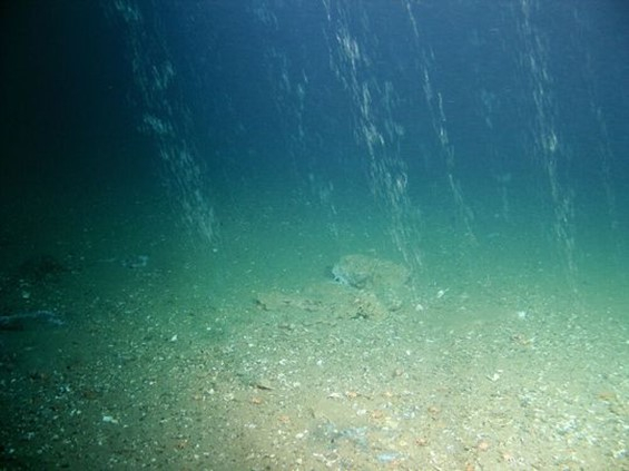 Gas escaping from the sea floor at the North Sea. Photo: GEOMAR.