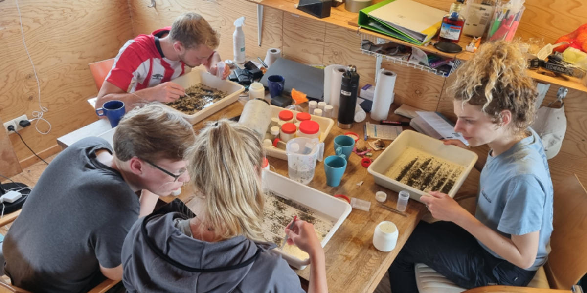 In het huisje worden de monsters deels uitgezocht. Vlnr: Jasper Bell, Timo Keuning, Evy Gobbens, Nienke Zwaferink. (foto: Floris Klein)