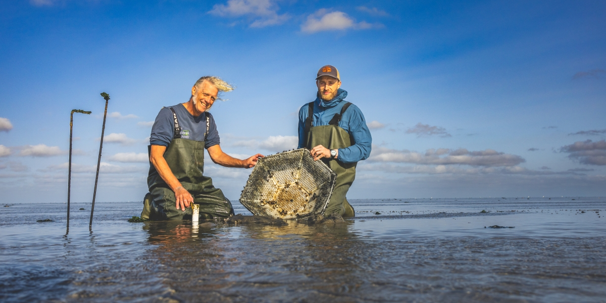 A part of the 3D printed reef experiments are collected. Photo: Erik Hoekendijk.