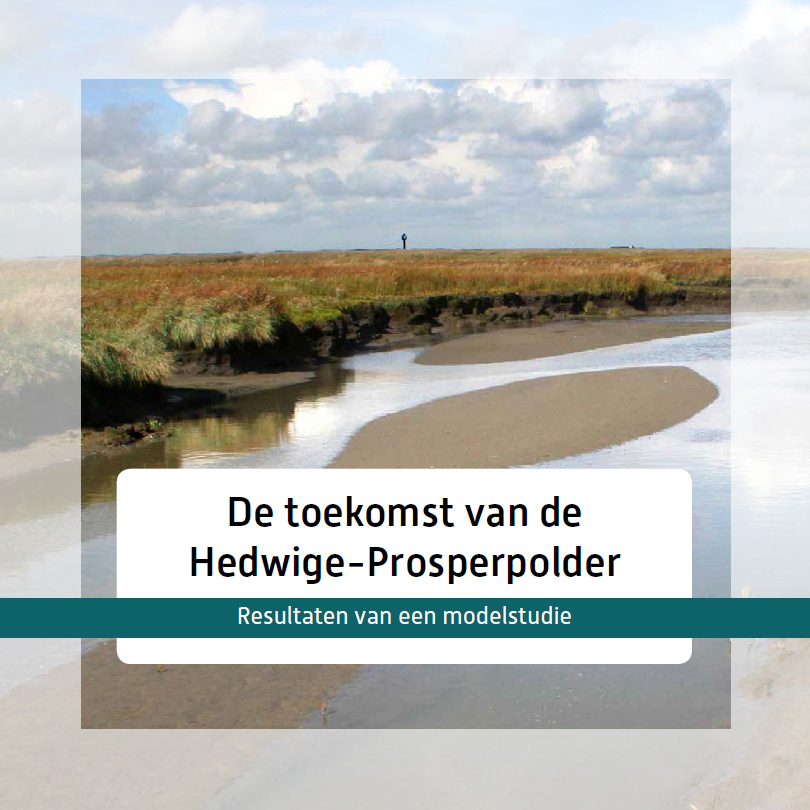 PDF | De toekomst van de Hedwige-Prosperpolder - Resultaten modelstudie