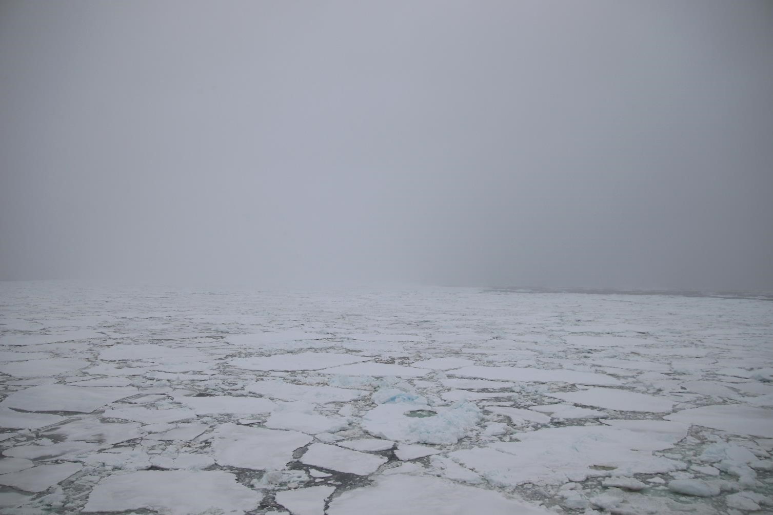 A different kind of Antarctic beauty sailing through ice flows in snow and fog. Photo: Sven Pont.