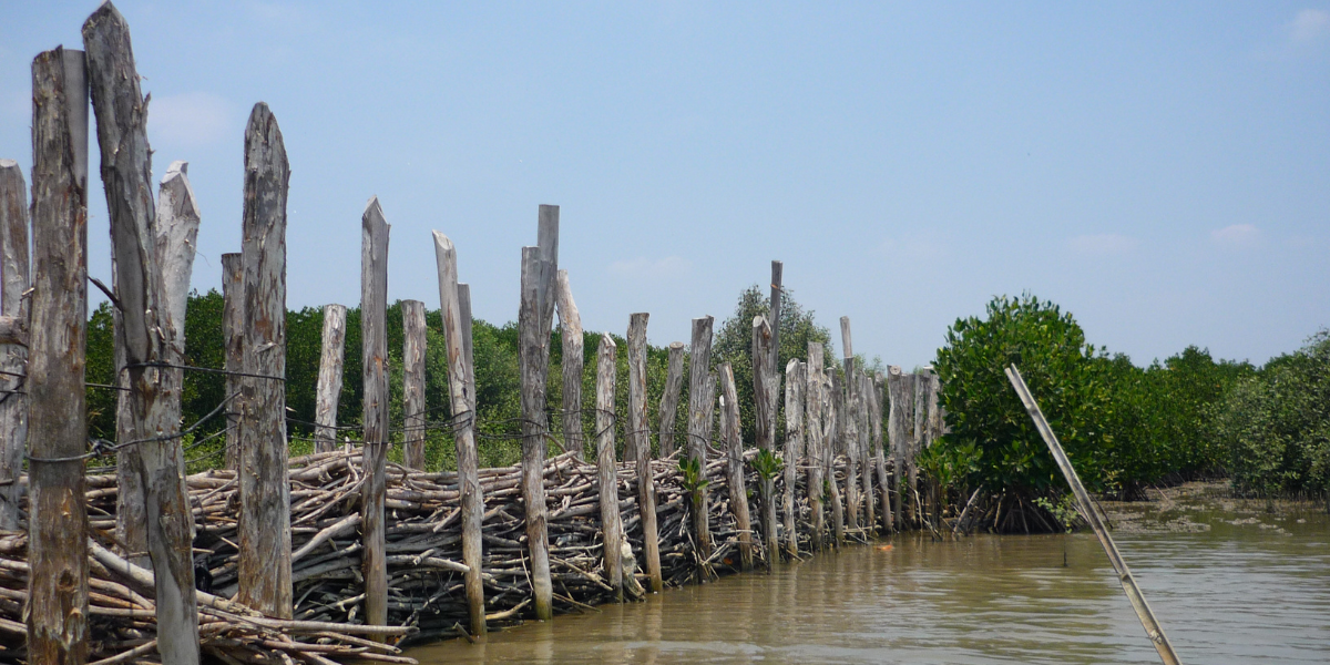 Permeable dam for ecological mangrove restoration