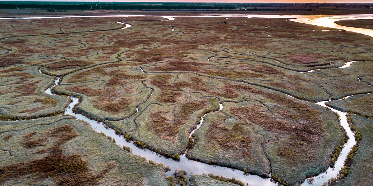 Aerial view of tidal marshland with natural meandering drainage system in Verdronken land van Saeftinghe in Zeeland, Netherlands, Rudmer Zwerver/Shutterstock.com Aerial view of tidal marshland with natural meandering drainage system in Verdronken land van Saeftinghe in Zeeland, Netherlands, Rudmer Zwerver/Shutterstock.com