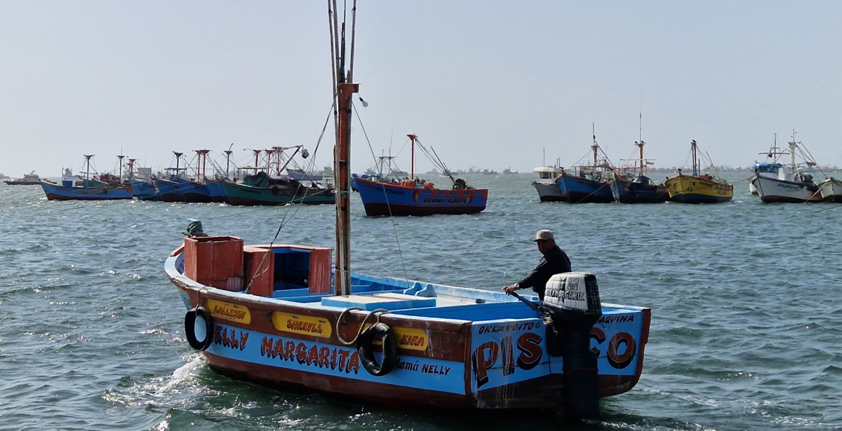 A colourful fishing boat leaves the harbour of Paracas