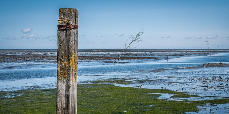 NIOZ onderzoek naar klimaatverandering: 'Centres of expertise'.'