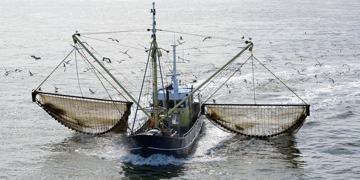 Fishing with trawling nets. Photo: Shutterstock