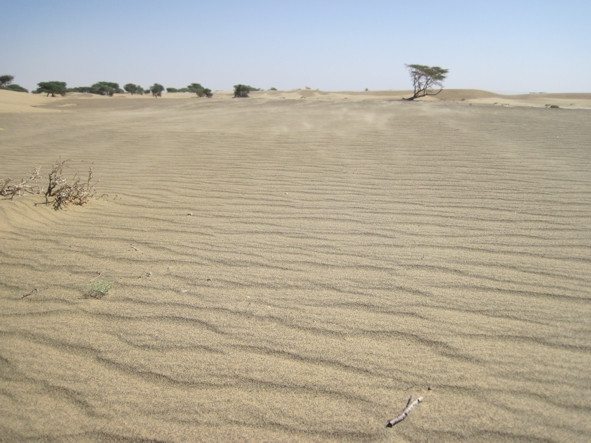 Saharan dust at the source: Jraif, Mauritania