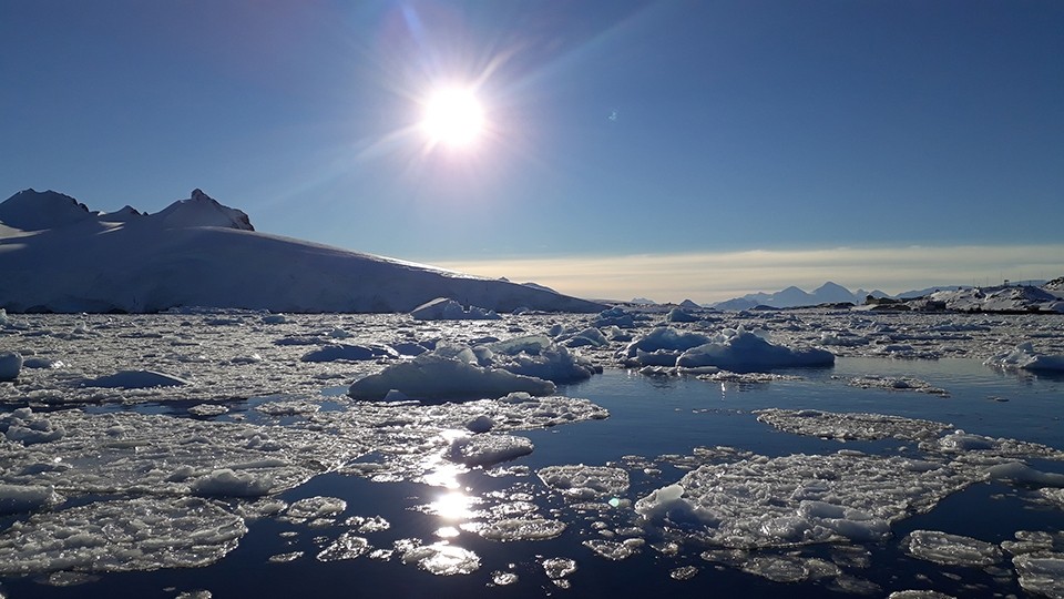 The bay where samples are taken. 