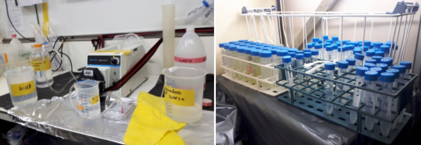 The equipment in our container labs allows us to perform various kinds of assays on microbial activity as well as to cultivate algae and isolate new potential viruses. Photos: Claudia Meyer