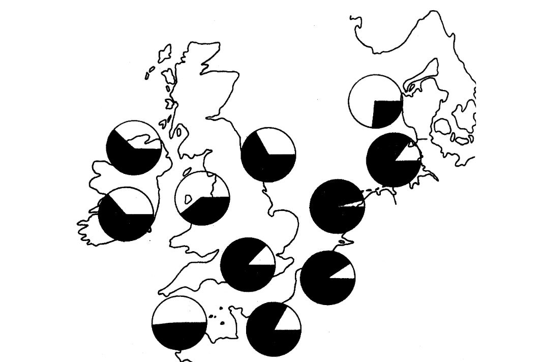 Oliebesmeuringspercentages (%) bij de Zeekoet in verschillende Noordzeelanden in de jaren tachtig van de vorige eeuw (data RSPB, Tim Stowe). 