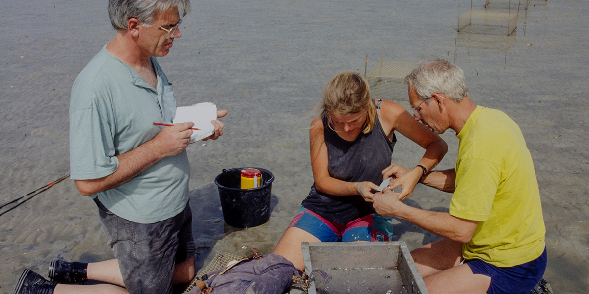 Fieldwork. Photo: Ineke Wolff