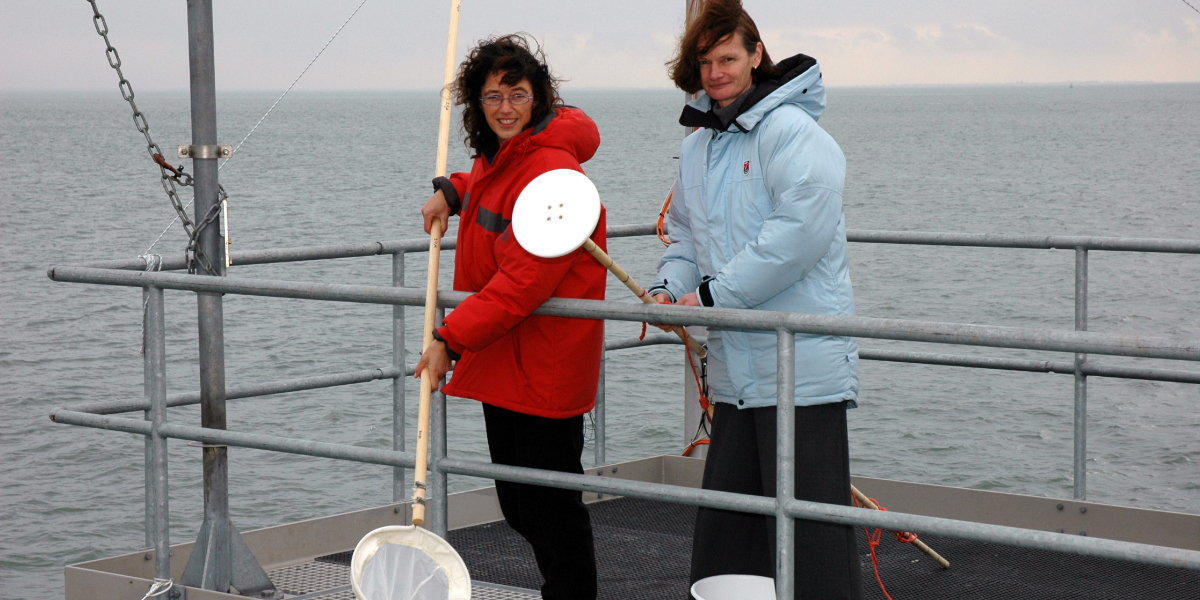 Jolanda van Iperen en Katja Philippart taking water samples from the NIOZ jetty.