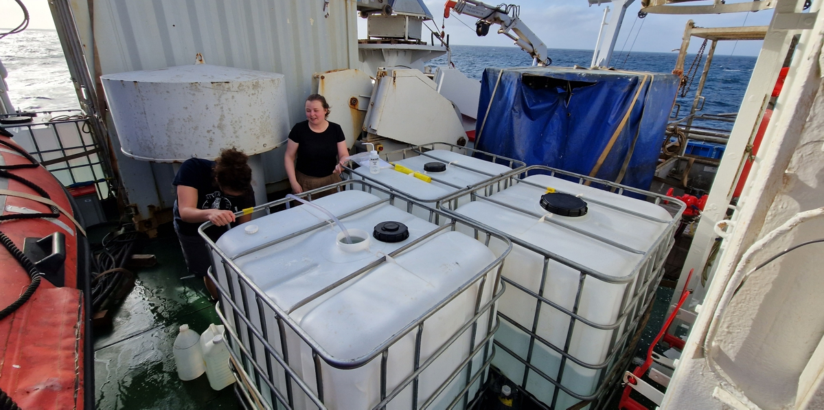 Anouk and Blanda taking their daily dose of water from the incubation experiments