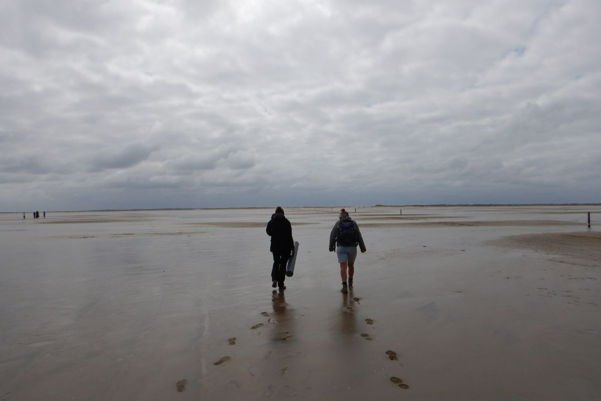 Scouting on the mudflat. Photo: Valérie Reijers 