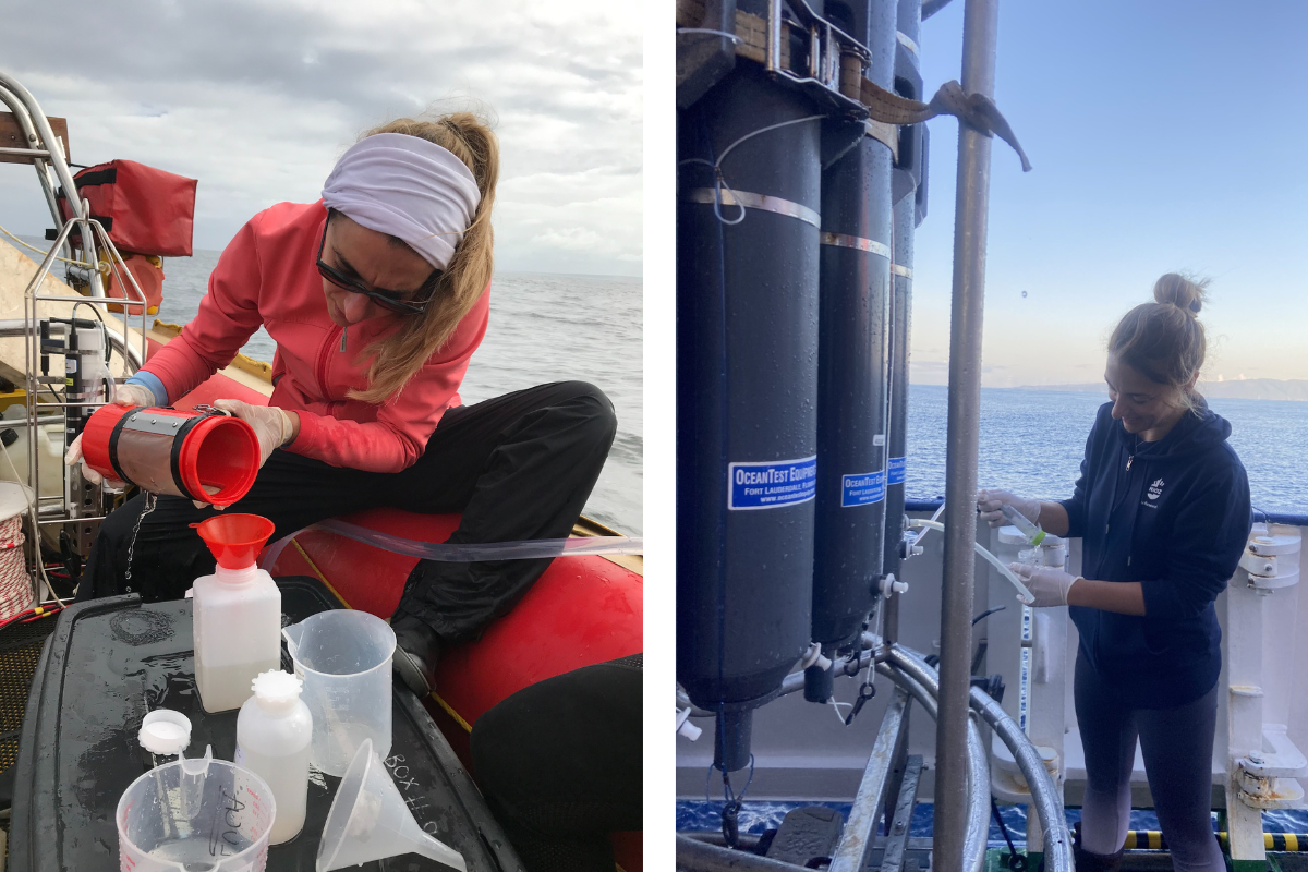 Eleonora Puccinelli sampling during fieldwork