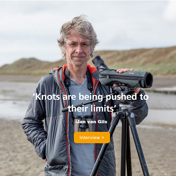 Doodt Vooruitzien Verklaring Jan van Gils - NIOZ