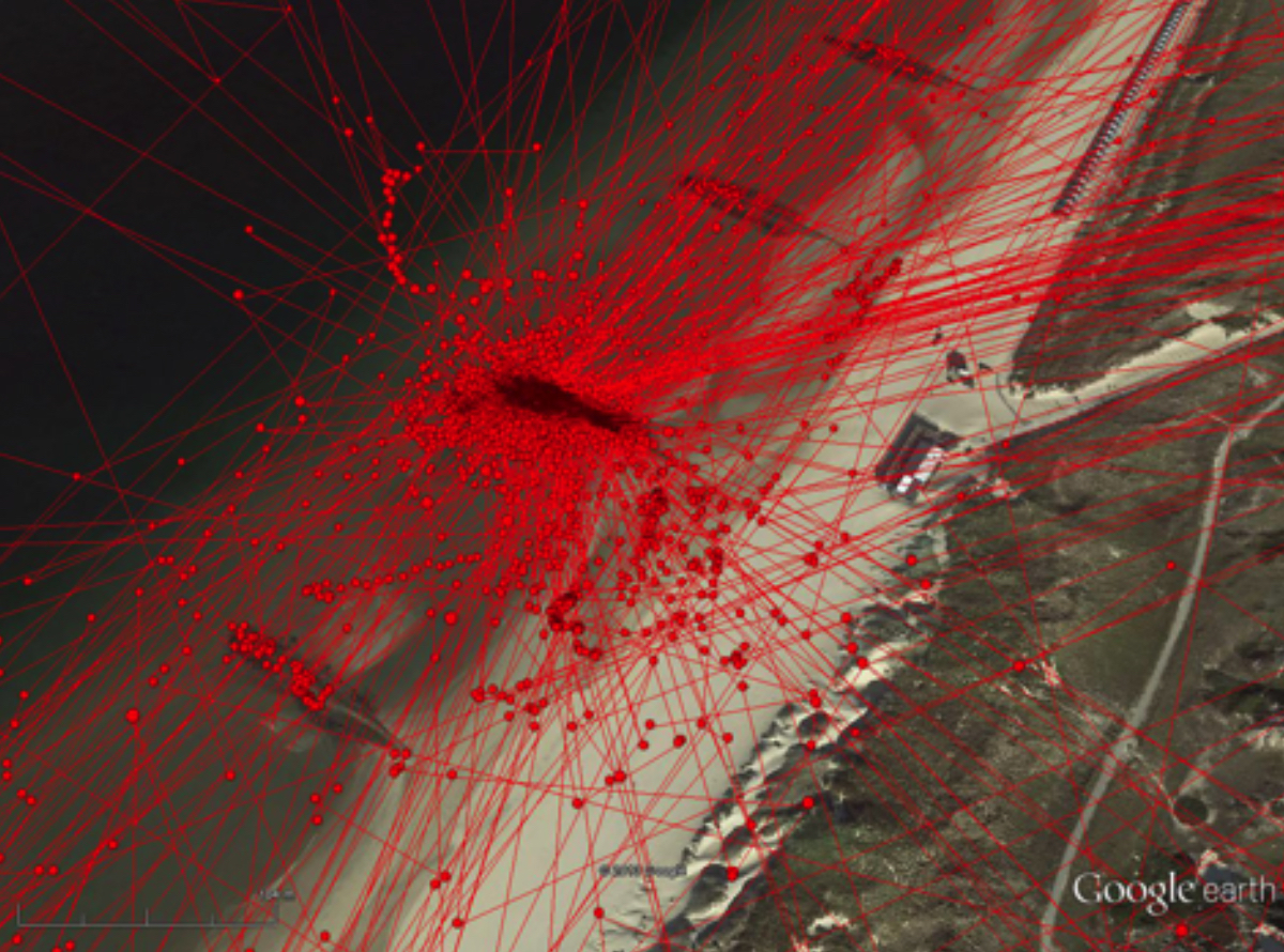 Tracking a single bird during hundreds of visits: resting in the middle of the groynes, foraging mostly on the windward south side.