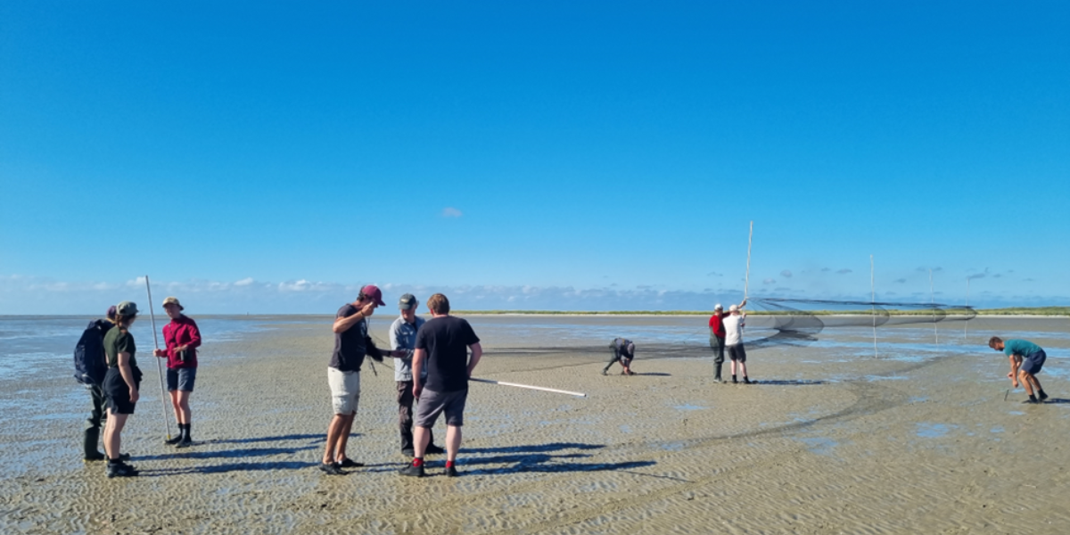 Netten bouwen op het wad (foto: Evy Gobbens)