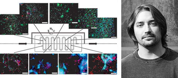 Tobias Kabbeck, Advanced microbial cultivation – spatial separation of multispecies biofilms and robot-assisted analysis.