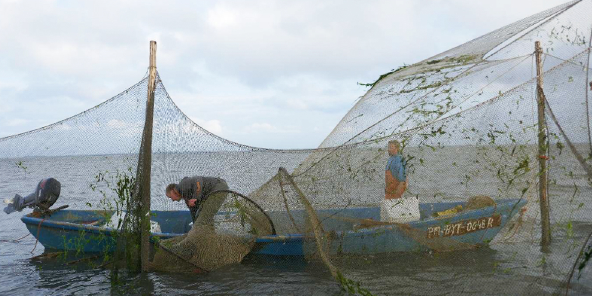 Pilot fish trap monitoring Zoutkamperlaag. Photo: Michiel Firet