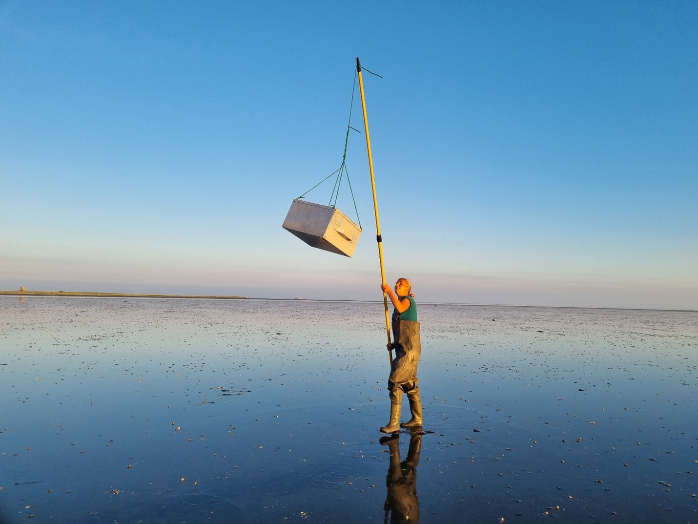 Met een zware bak doet Janna een verassingsaanval op de garnalen om ze te kunnen tellen. Foto: Evy Gobbens 