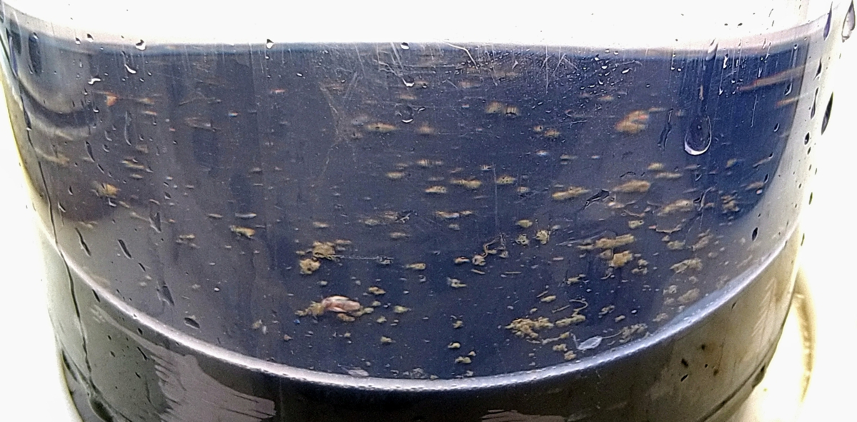 Particles known as marine snow, faecal pellets and individual zooplankton on the bottom of one of the drifting-trap tubes