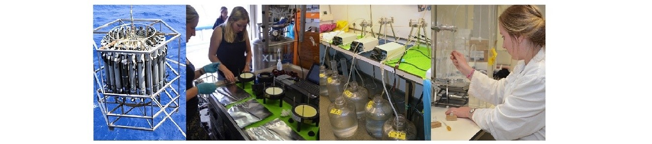 From left to right: CTD deployment on board of the R/V Pelagia to collect seawater from different depths in the water column; collecting filters from in-situ pumps; filtering CTD water over different porosities; lipid extract separation by means of aluminium oxide column chromatography.