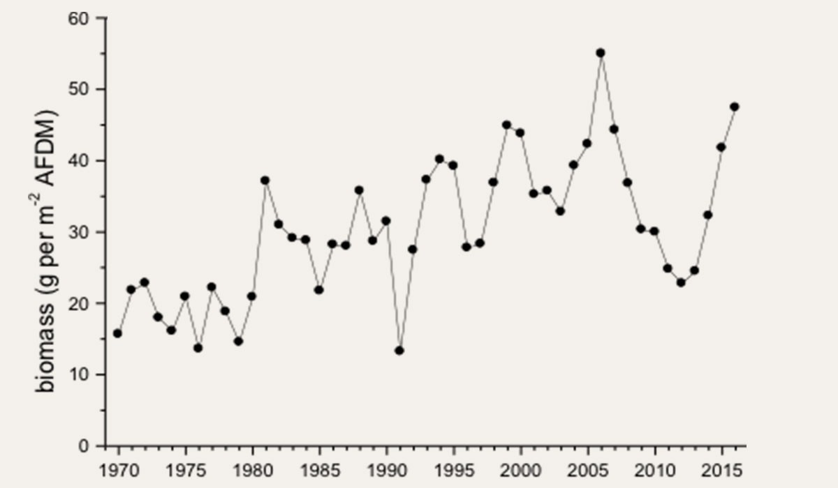 Biomass of the total macrozoobenthos in winter at Balgzand (1970-2016)