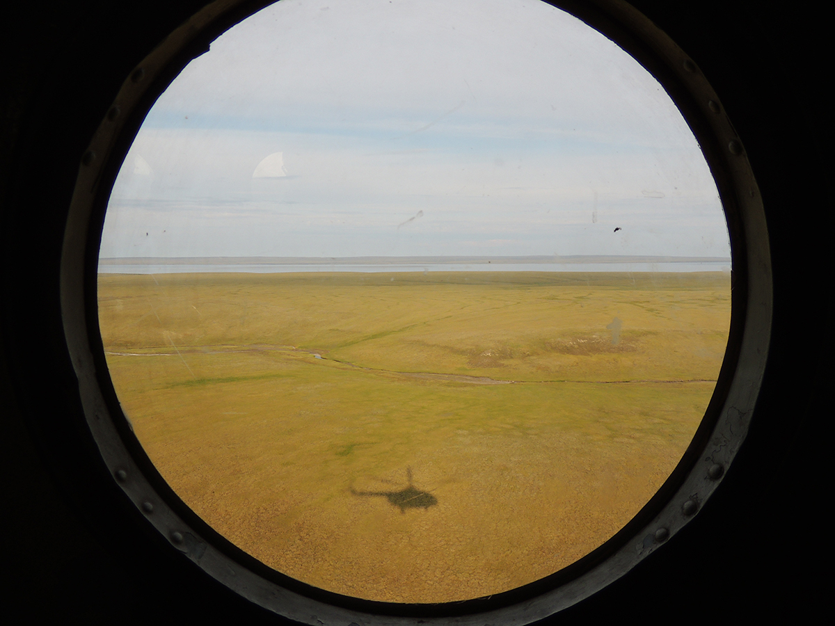 3 August 2019 Flying back home across a snow-free tundra!