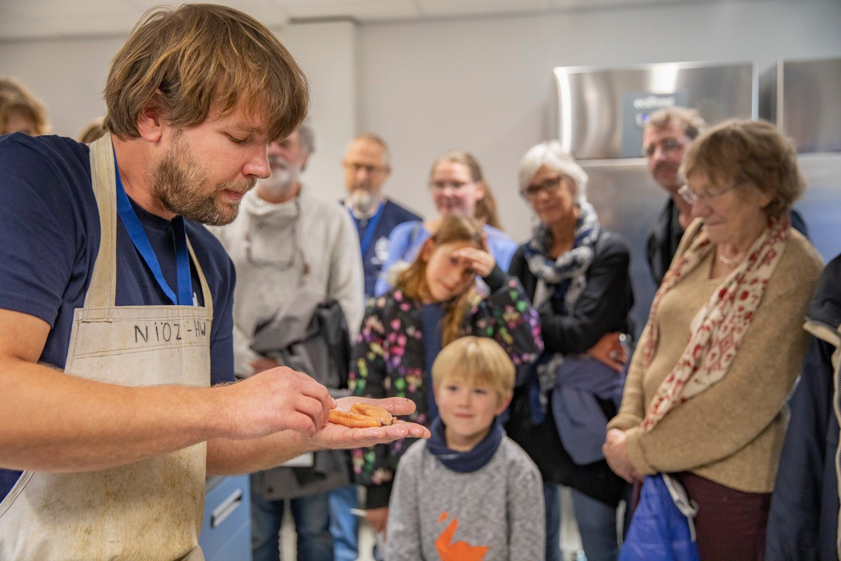 Fish dissection (Phycis blennoides) during NIOZ open day 2019