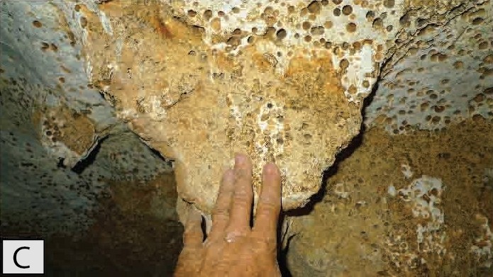 De grotwand en de Custonaci stalactiet in de Rumena druipsteengrot zijn bedekt door koraalkalk.