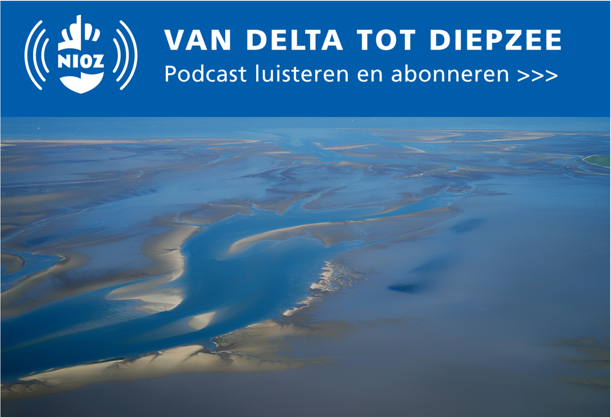 Podcast 21_De zee als onrustige zandbak. Met fysisch oceanograaf Theo Gerkema. Foto: Heide Pinkall/Shutterstock.com