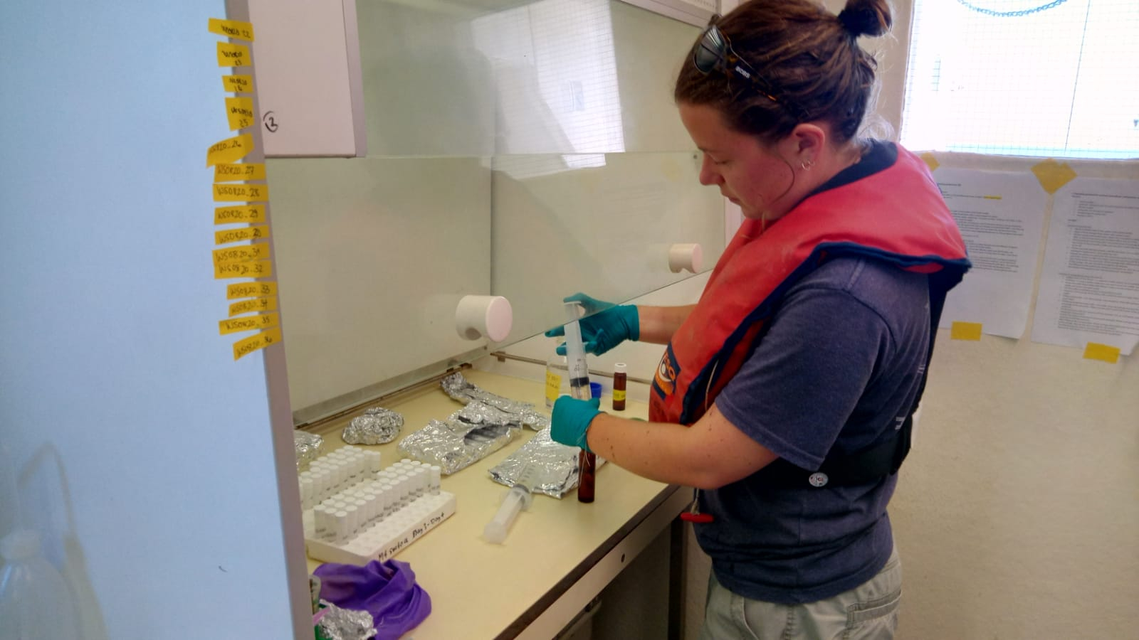 Helen preparing a sample for the dissolved organic carbon measurement which will later be done at NIOZ.